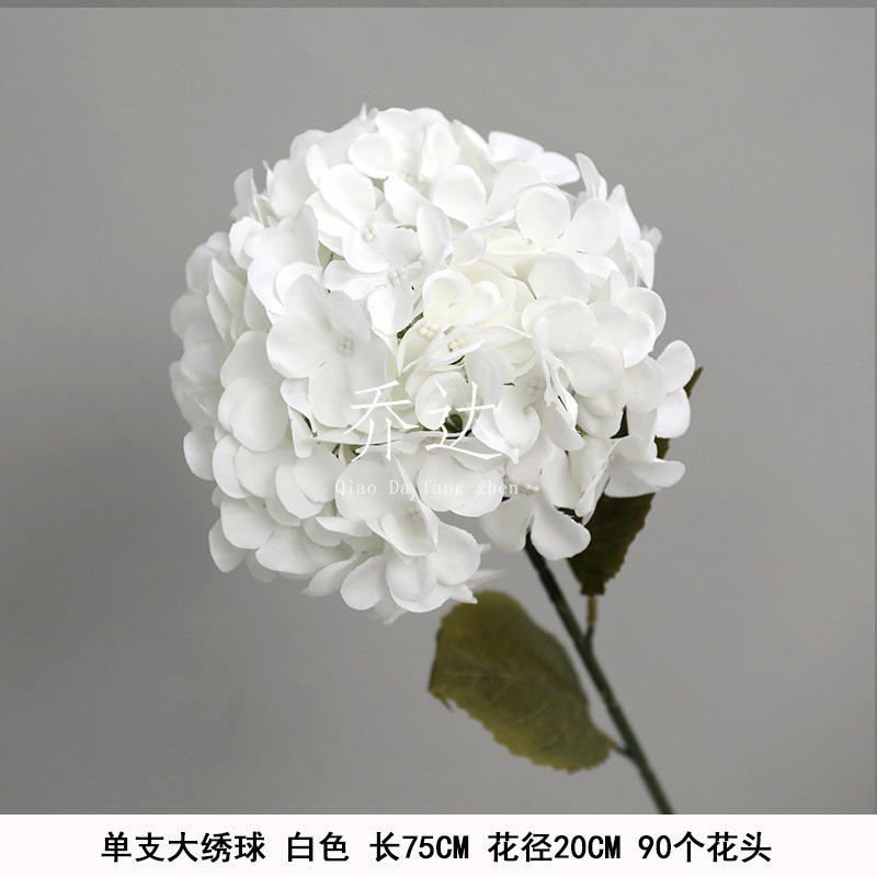 Hortensia grande única