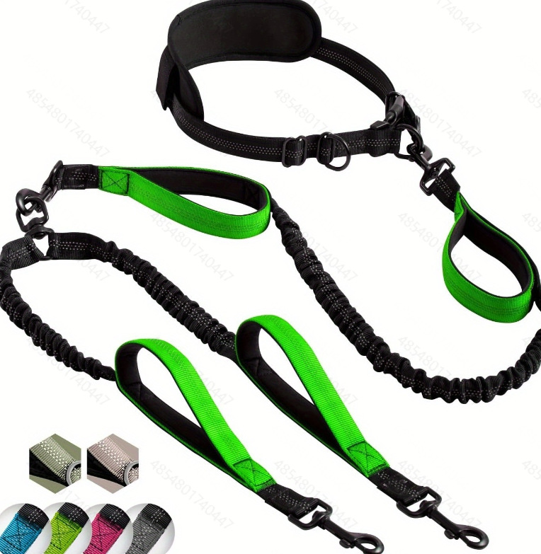 Dog Leash 3