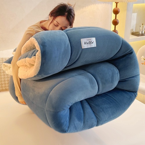 Cross-border exclusive lamb wool and cotton quilt core winter quilt double-sided fleece thickened warm student dorm single bed winter