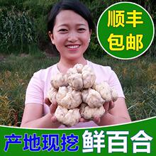 �r�ٺ�ʳ�����r�ٺϬF����ɽ�ٺ�ζ΢�������Ҝ���Ʒ����Դ�^��؛