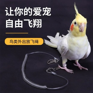 �W�^���w�K��Ƥ�B�à����K���p�_�h�_��ӳ��p�����B����Ӗ����Ʒ