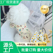 宠物衣服夏装薄款居家服睡衣马尔济斯泰迪比熊雪纳瑞狗狗衣服衬衫