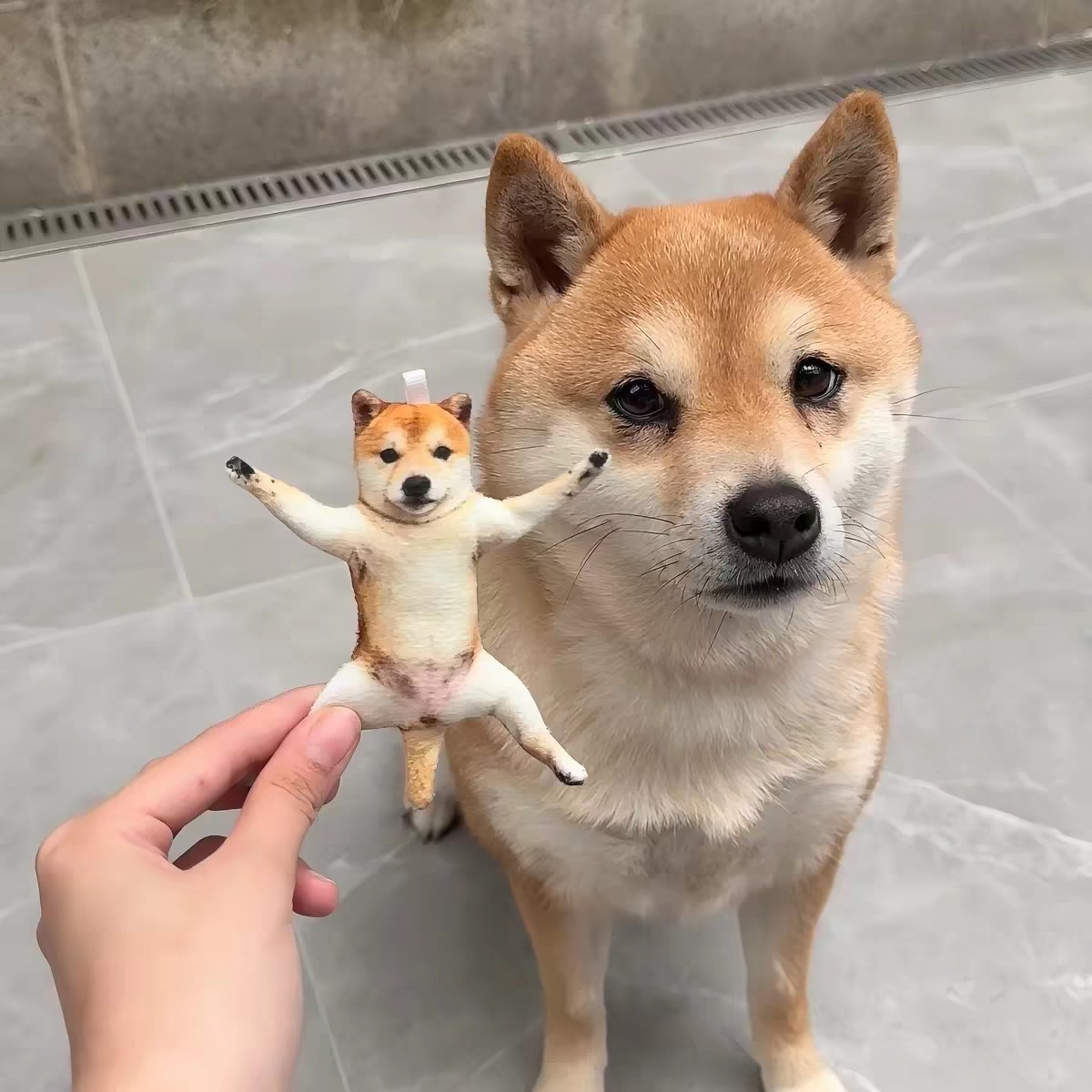 Xiaohongshu DIY Shiba Inu Dog Dried Rat Cute and Fun Dried Rat Pendant Gift for Friends and Besties