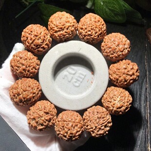 ӡ����������ԭ���ִ���6��7��8�˰���Ů������ؼt�S�tƤ����