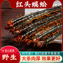 中药干蜈蚣国产药材红头正品散装吴公虫中草药非野生蜈蚣干中药材