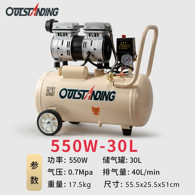 Hava kompressorları oil-free small 220V air - special-offer-550w-30l