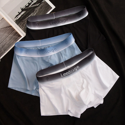 Summer Men's Ice Silk Underwear Men's Straight Leg Pants Plus Size Breathable Antibacterial gusset Youth Invisible Shorts Factory Wholesale