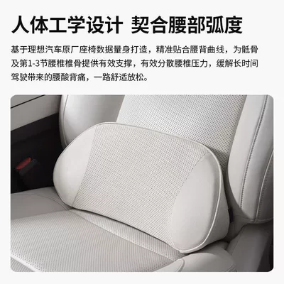 Waist support, same style as the mall's lumbar support