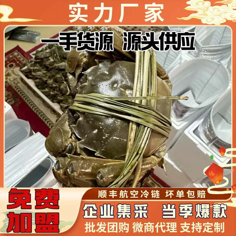 中秋礼品苏州产地大闸蟹礼盒企业集采节日福利微商代发量大价优