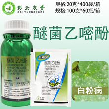 �s���~��ؐ 40%�Ѿ������׷��S�ϰ׷۲��������rș��������������