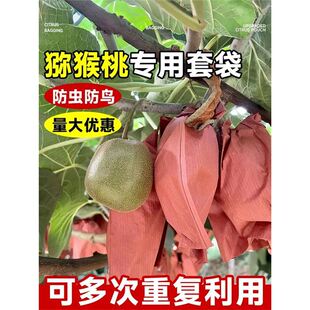 �J���Ҍ���ˮ���״��������x���B�����������Ӱ��b�����ӷ����ˮ