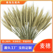 麦穗干花开业花篮厂家批发大麦干花真花麦穗装饰庆典花束拍摄道具
