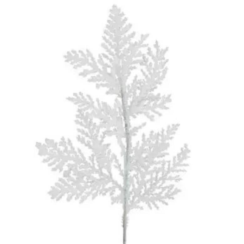 QQ图片20240814181251_看图王(1)