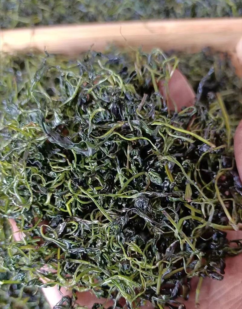 Xiao Ye Ku Ding Tea (Ligustrum robustum) — Early Spring Tender Bud Green Tea, 500g Loose Leaf details
