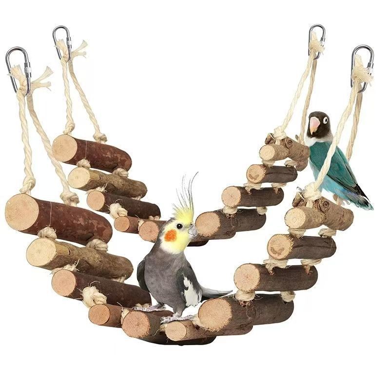 32e0c7f6-6d57-40c0-a33a-9cfe6aa8a608.jpe