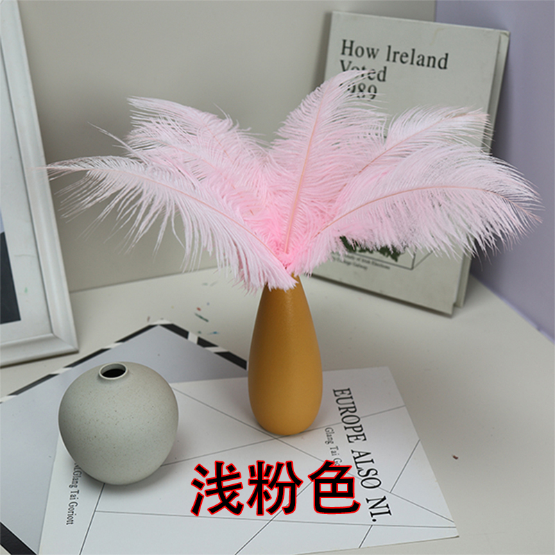 Plumas de avestruz bodas blancas de avestruz guía de plumas accesorios de fotos adornos rojo rosado en línea grandes plumas decoración