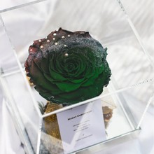 生日圣诞礼物送女朋友玫瑰永生花礼盒进口厄瓜多尔极光玫瑰花巨型