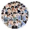 63 pieces of Che Yinyou