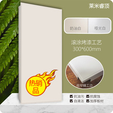 哑光纯白平面集成吊顶铝扣板全套批发45*90厨房30*60卫生间30*30