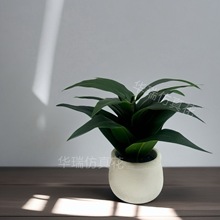 ���渻�F�����Լ����ӼҾӿ͏d�[���k���ҾGֲ���滨����Gֲ�[��