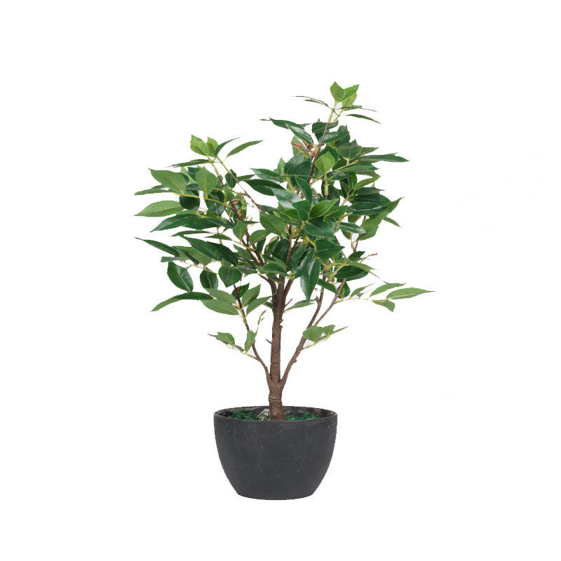 XRS-061  盆栽窄基红叶 (2).jpg