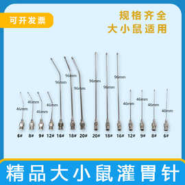 大小鼠灌胃针批发锡头小鼠灌胃针小动物灌胃8号10号12号型号齐全