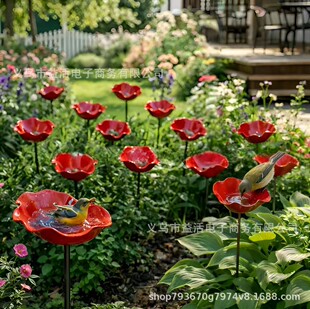 TK���⳱Maple Leaf  Bird Bath Purification���~�����Bԡ�����P