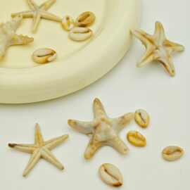 亚克力仿贝壳异形单孔珠贝海星星贝壳亚克力纽扣 吊坠吊钟饰品diy
