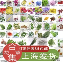 [Pb͏dϴ[PcYbֲb[P