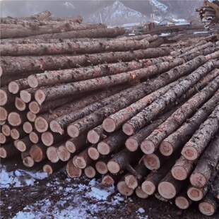 ���K�ӵ���ľɼľ�����̷�Ѵ�򘶇��ڈ@�־G����ľ֧�ΗU��