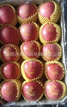 ��ɫ����ͱP�����O����ӡ�C����崨�O��ӡ�֙C�̘�logo��ӡ�C��