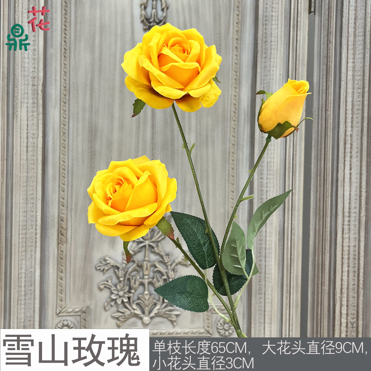 스노우 마운틴 로즈 Y 옐로우