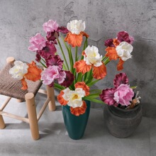 �ٻ����g�Q�Z�Sβ��֦INS�L���滨�Ҿ��b羳��c���lMW01518