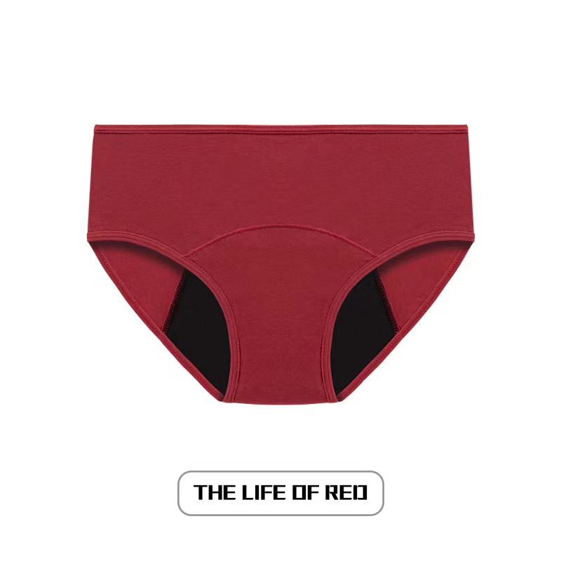 Ropa interior de período menstrual de talla grande transfronteriza, gran flujo menstrual de mujeres europeas y americanas, calzoncillos fisiológicos de cintura media posparto al por mayor