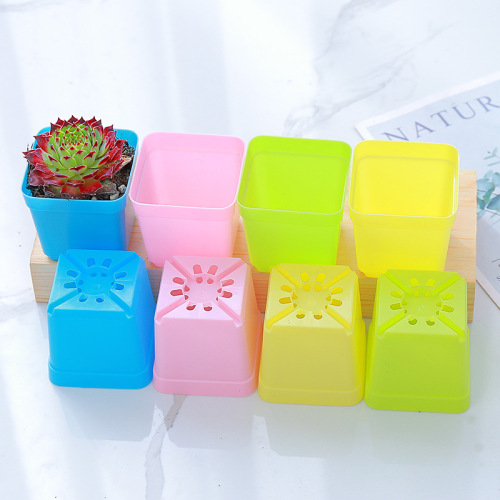 Succulent small square pots colorful succulent flower pots for seedlings ultra-small square plastic flower pots 5.5CM black square manufacturer