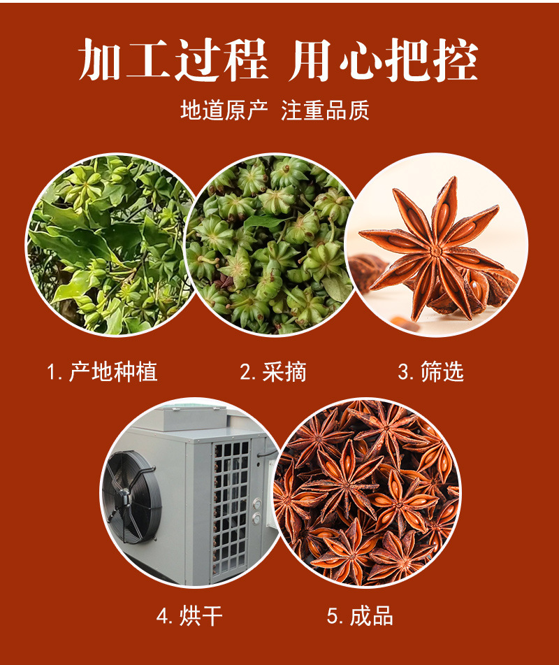 Star Anise (Illicium verum) — Guangxi Dried Whole Spice for Braising & Herbal Cooking preparation