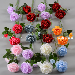 �������^��ĵ����÷õ�彁���ֹ����ٻ���c�Y�þƵ�Ҿ��b[��