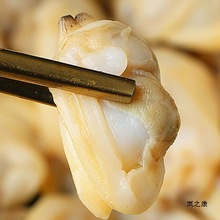 ������������ĸ�ؐ��������⺣�a�oɳ�S͘�Ӹ����r����