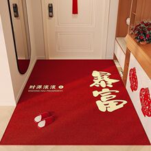 新中式水晶絨地墊耐臟易打理入戶門墊玄關進門地墊吸水防滑可代發