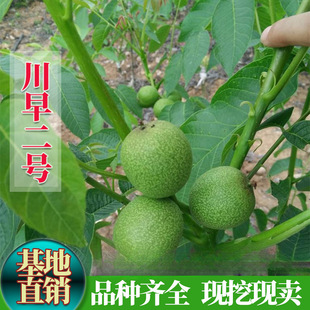 �޽Ӻ��Ҙ����Ϸ����� ���Ե��Դ����̖�����箔��Y��������