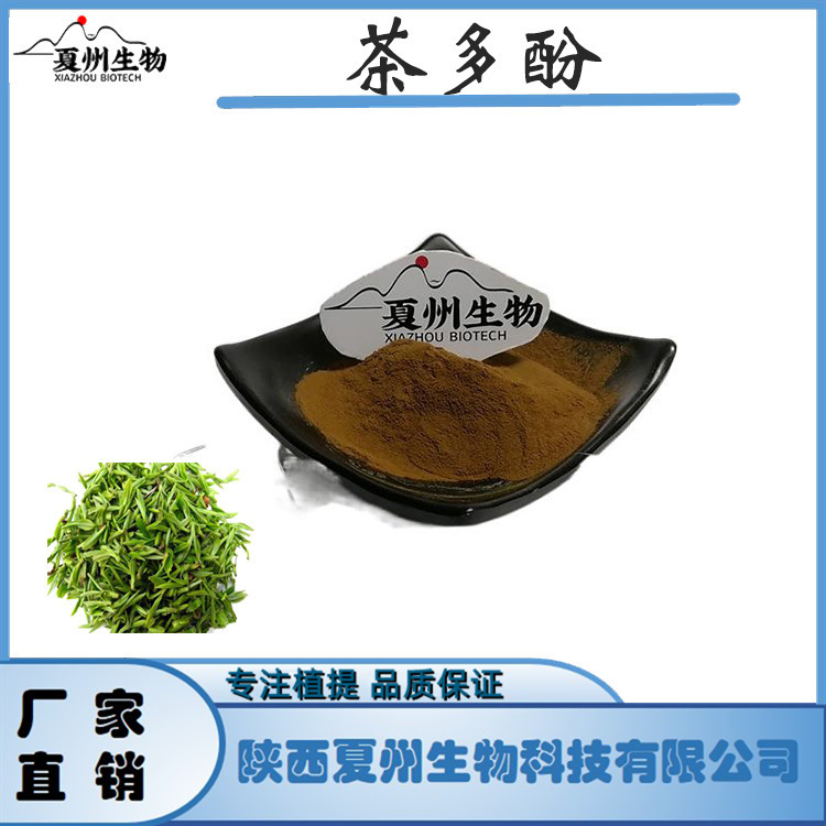 绿茶提取物 茶多酚98% 84650-60-2 夏州生物 现货 1kg装