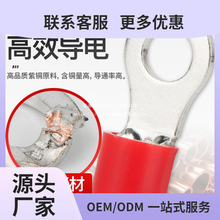 Phoenix Rv Copper Terminal Block Round Cold-Pressed Copper Connector Wire Nose Wire Quick Plug-In and Parallel Wire Ot National Standard