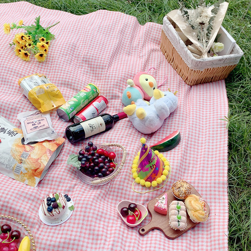 Foreign trade outdoor camping picnic mat small fresh plaid ins style picnic tablecloth spring outing portable lawn mat wholesale