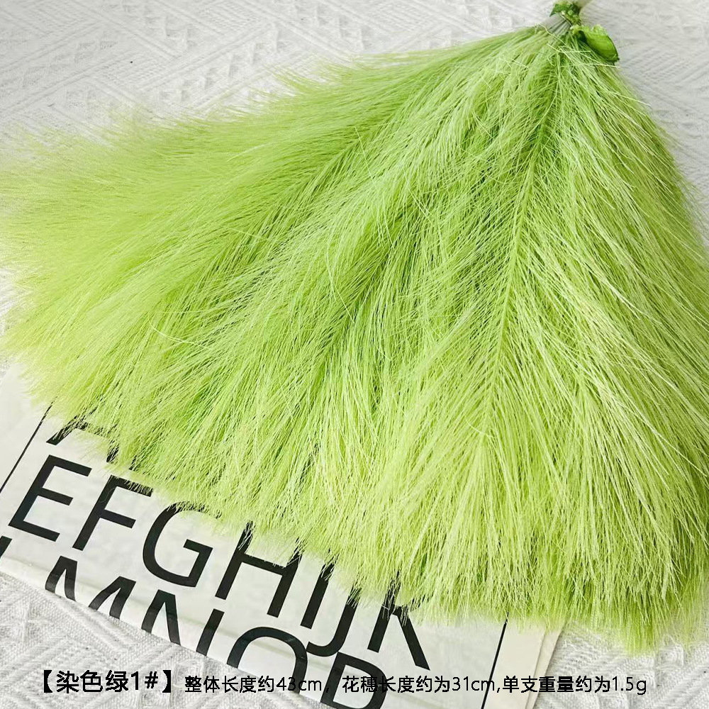 Root único tinte verde # 1