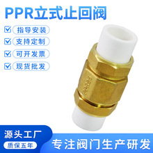 ���ۻ���S�~PE��ʽ����ֹ���y��ֹˮ�����ԁ�ˮ��PPR2025�܏S��