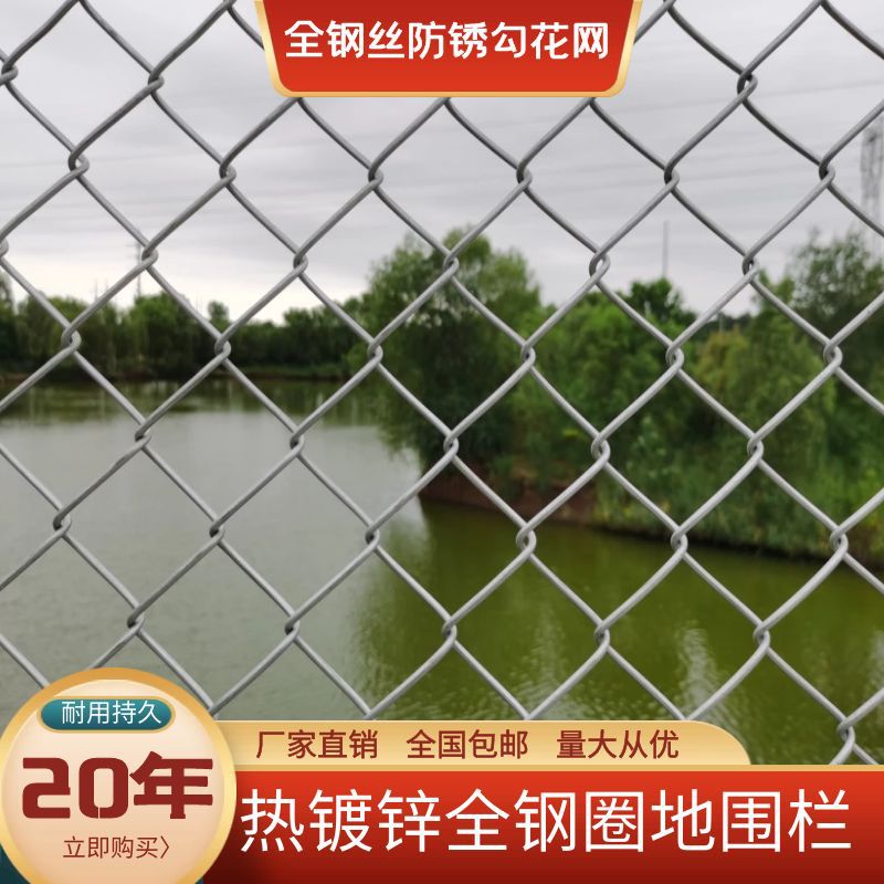 镀锌铁丝网养殖鸡鸭防护网格养狗牛羊中国大陆