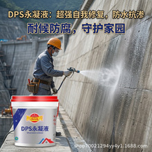 DPS����Һ �����޸���Ч���� ������Һ̬��ˮ�������Ӽ���Ϳʩ��