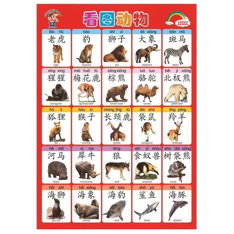 aoe儿童24个拼音字母表26个英文字母表挂图标准图读物汉字贴墙用