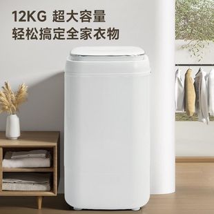 Dehydrator Household Large-Capacity Dryer Dehydration and Drying All-In-One Machine Small Single Spin Dryer Barrel Rental Supply Wholesale