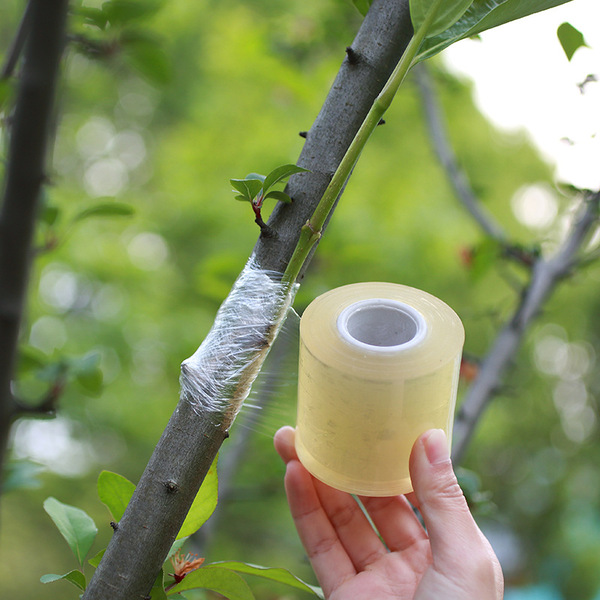 Quick Tree Films Small Roll Grafting Film for Horticultural Fruit Tree PE Wire Stretch ...
